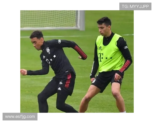 克拉马里奇引领霍村拜仁后之最